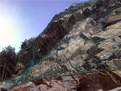 高边坡防护网图片4